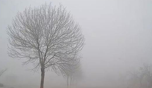 多家企業(yè)氣體排放不達(dá)標(biāo)